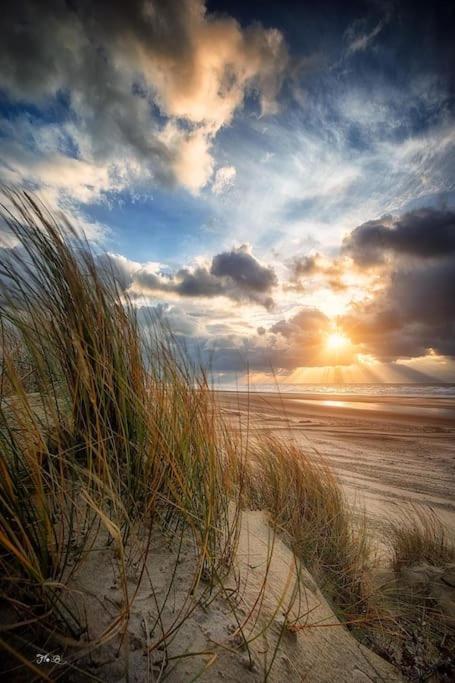 Vue Mer Berck Екстер'єр фото